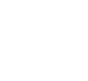 billede af sushi enkeltstykke